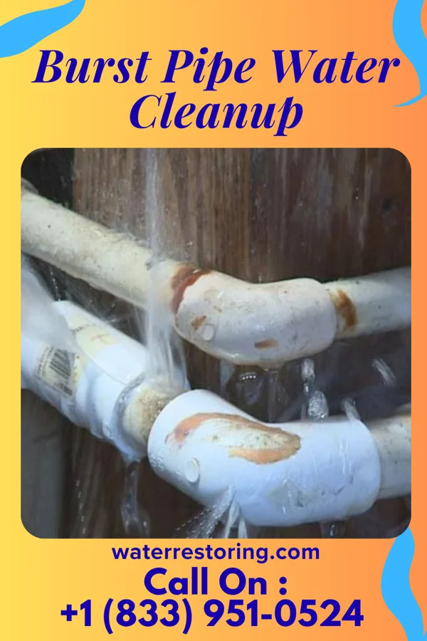Burst Pipe Water Cleanup in Pendleton, IN